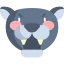 Panther icon 64x64
