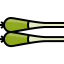 Scallion icon 64x64