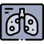 Lungs icon 64x64