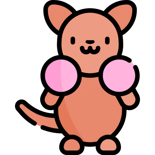 Kangaroo icon