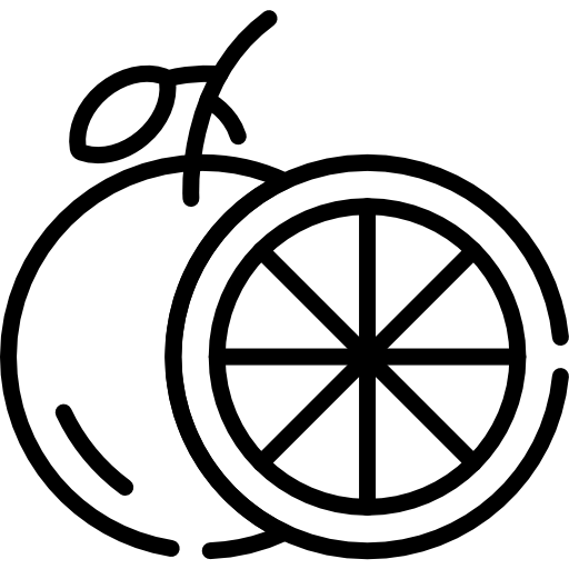 Orange icon