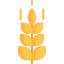 Gluten icon 64x64