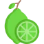 Lime icon 64x64