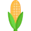 Corn icon 64x64