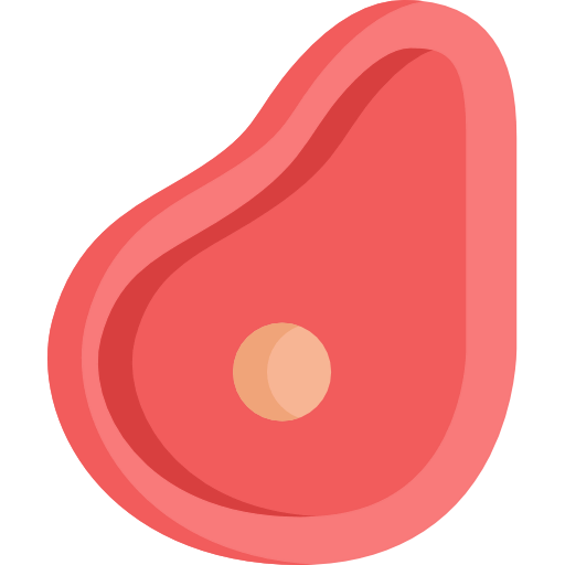 Steak icon