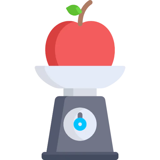 Scale icon