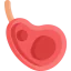 Ribs icon 64x64