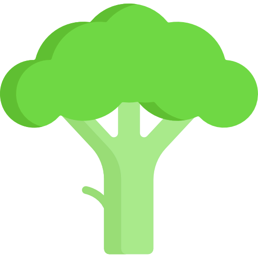 Broccoli icon