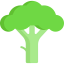 Broccoli icon 64x64