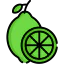 Lime icon 64x64