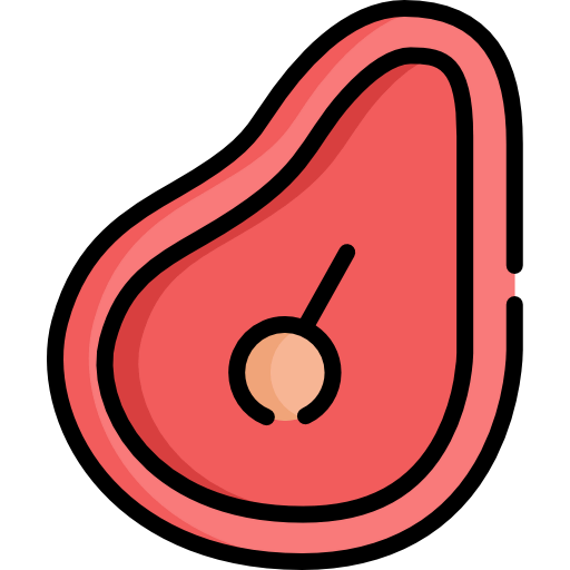 Steak icon