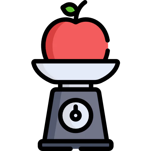 Scale icon