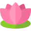 Lotus icon 64x64