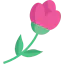 Flower icon 64x64