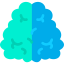 Brain icon 64x64
