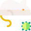 Rat icon 64x64