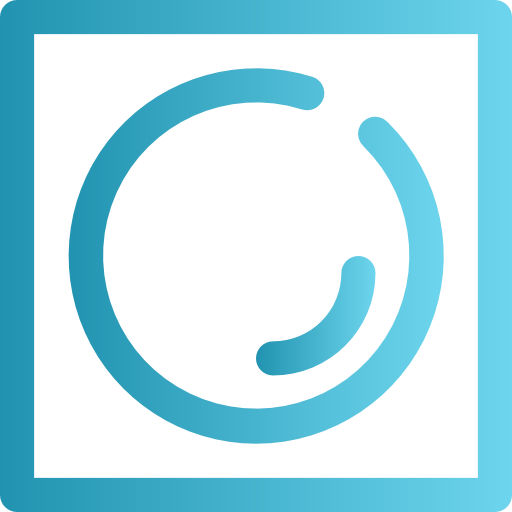 Record icon