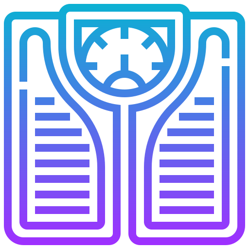 Scale icon