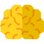 Brain icon 64x64