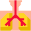 Lungs icon 64x64