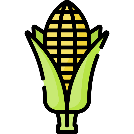Corn icon