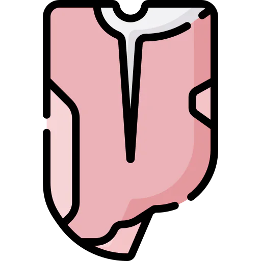 Meat icon