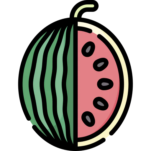 Watermelon icon
