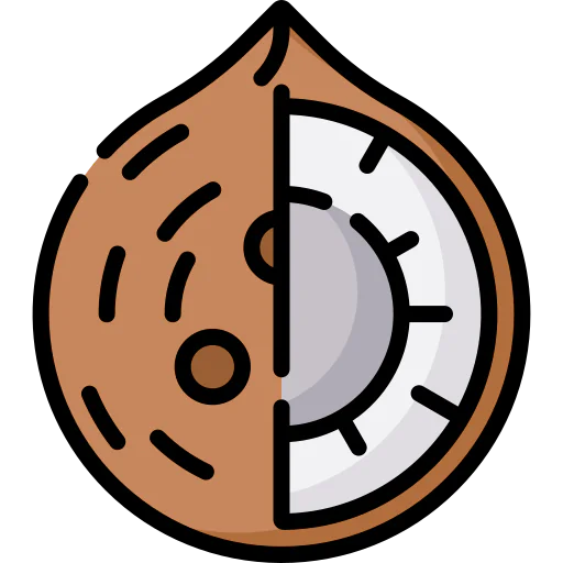 Coconut icon