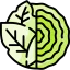 Cabbage Ikona 64x64