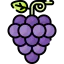 Grape icon 64x64