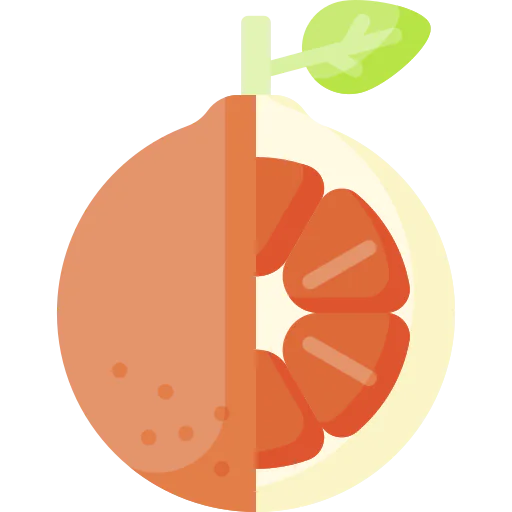 Orange icon