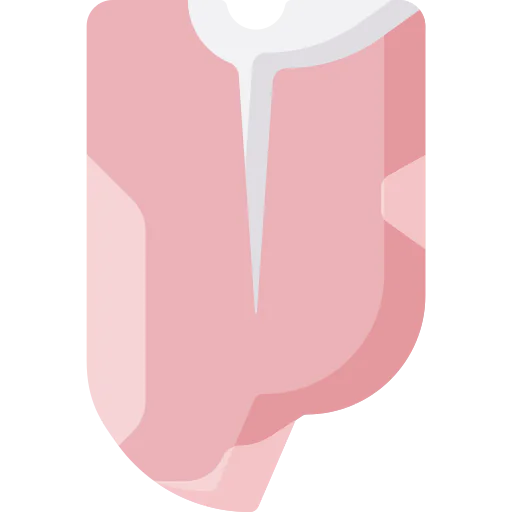Meat icon