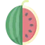 Watermelon icon 64x64