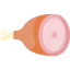 Meat icon 64x64