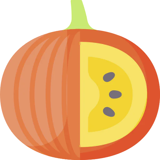 Pumpkin icon