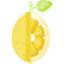 Lemon icon 64x64