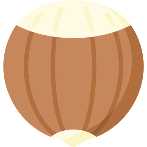 Hazelnut icon