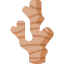 Ginger icon 64x64