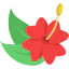Flower icon 64x64