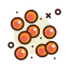 Eggs icon 64x64
