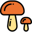 Mushroom icon 64x64