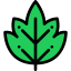 Leaf icon 64x64