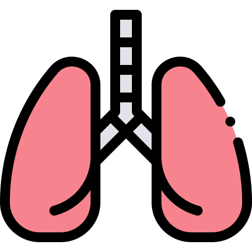 Lungs icon