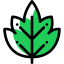 Leaf icon 64x64