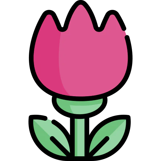 Macro icon