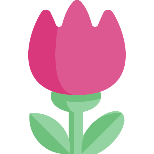 Macro icon