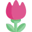 Macro icon 64x64