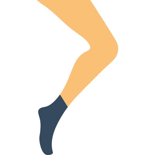 Socks icon