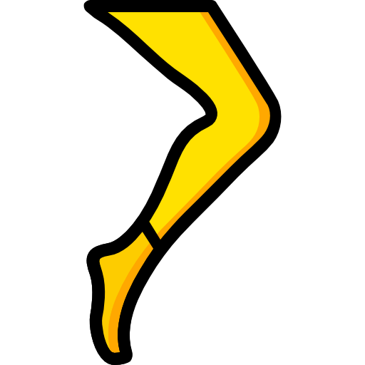 Socks icon