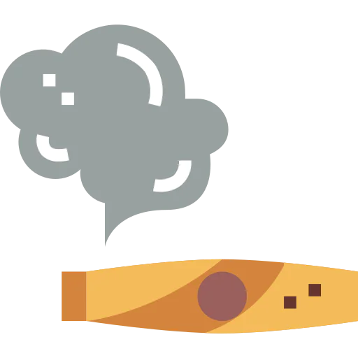 Cigar icon